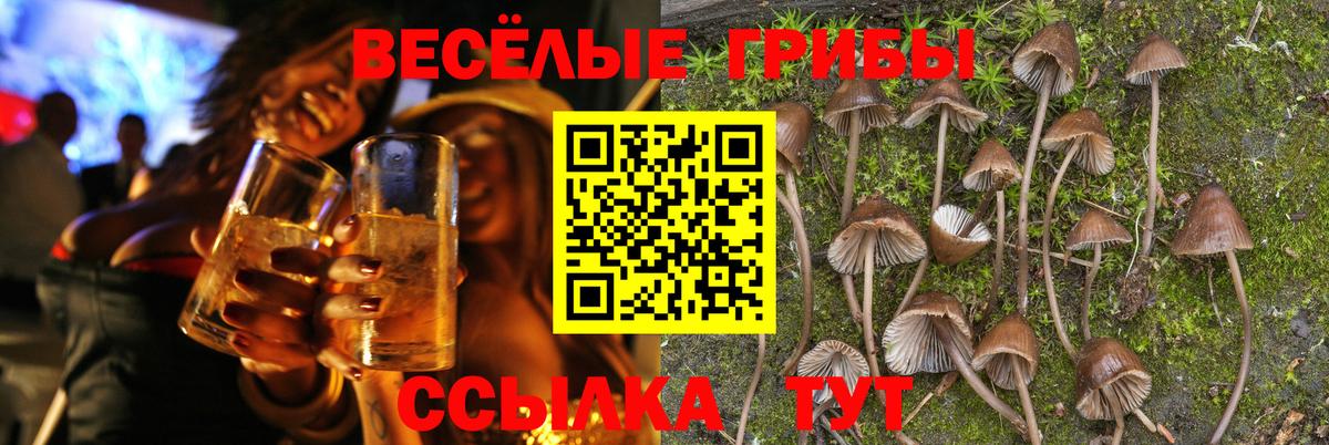 Псилоцибиновые грибы GOLDEN TEACHER  Галлюциногенные грибы Psilocybine cubensis  Коломна  Вход с VPN 